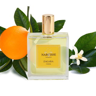 Zagara by Narcisse Coll...