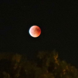 Mit Zoom, daher leider ...