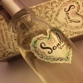 Soul by Curve EDP by Li...