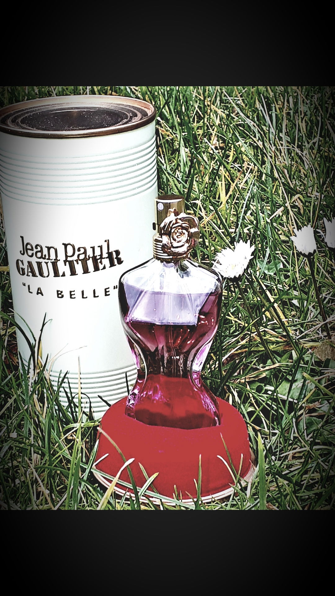 La belle beauté du jardin