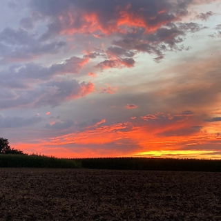Die Natur malt am schö...