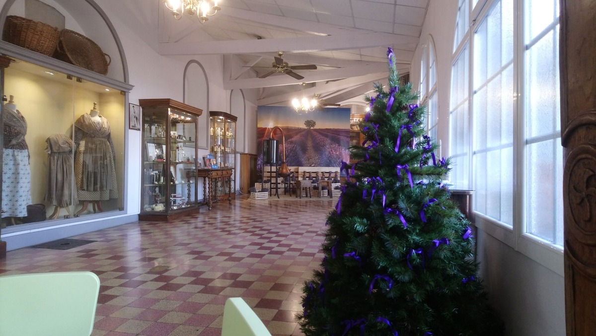 In Grasse bei Molinard