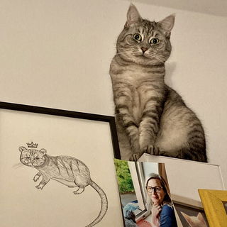 Mein Mädchen 🐈‍⬛❤️