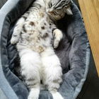 Katerstimmung ;-)