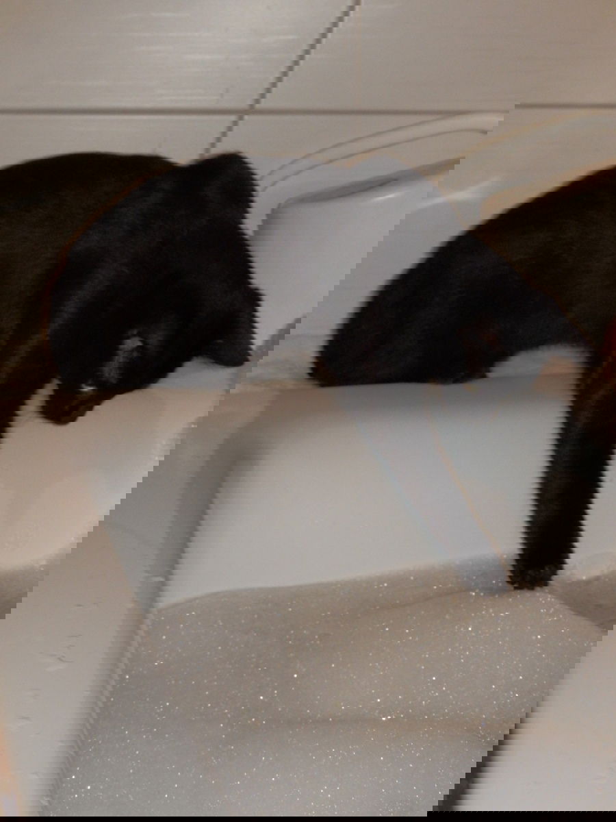 Ist das auch nicht zu heiß?