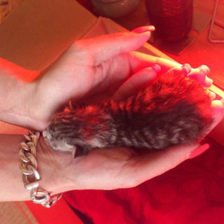 18.04.2012 ein traurig/...