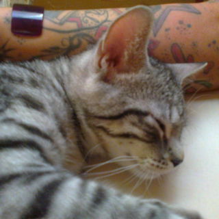 26.07. Toni, der hat Be...