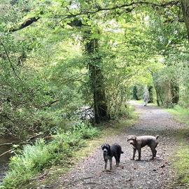 River Walk, Glengarriff...
