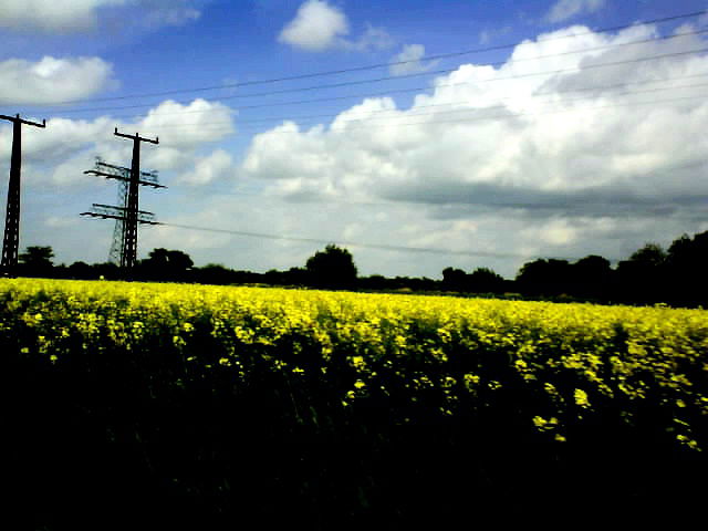 ... Heimat ...