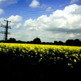 ... Heimat ...
