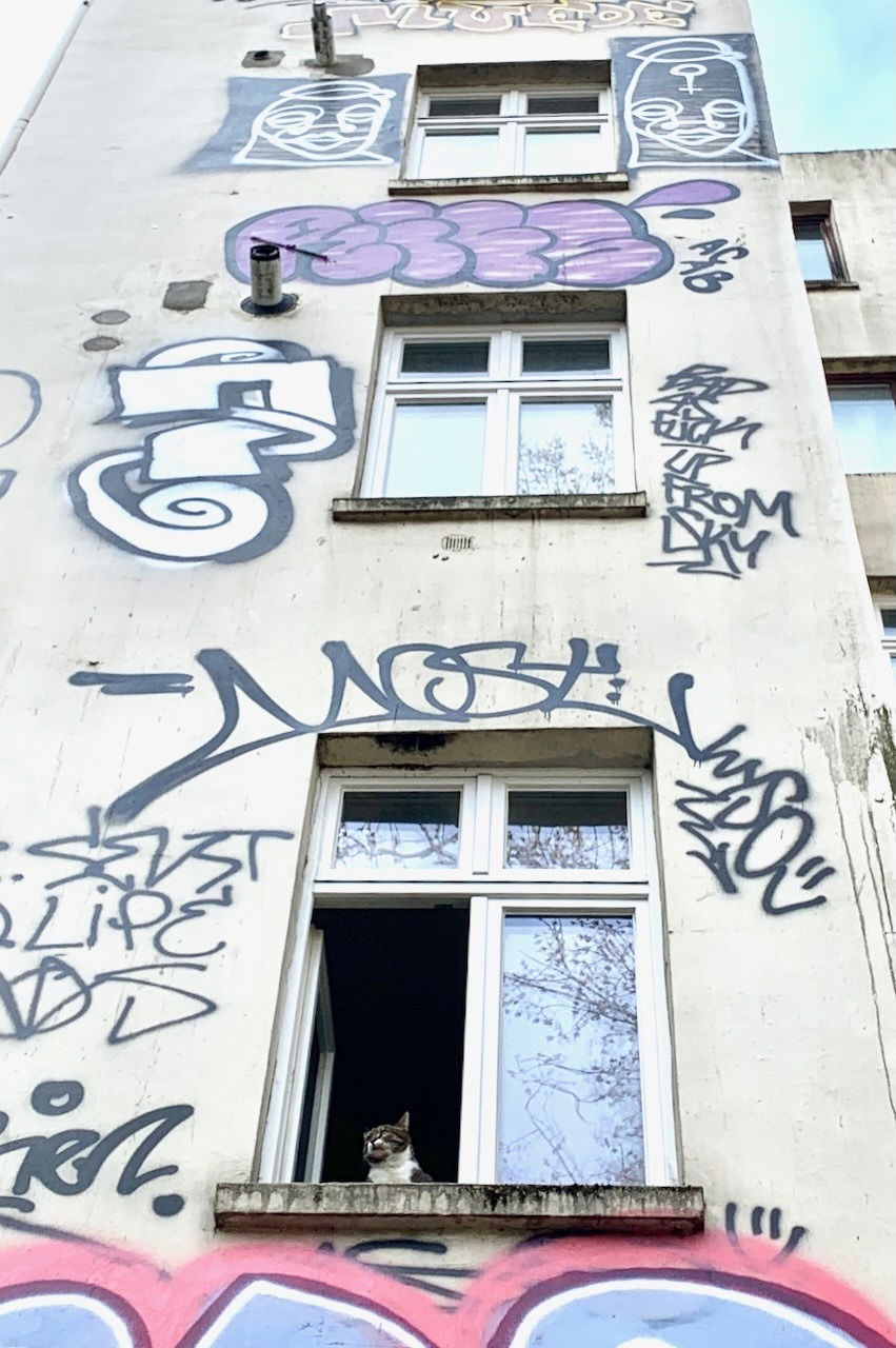 Die Miezen von St. Pauli (IV)
