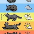 Katzenbarometer - könn...