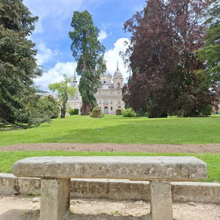 San Ildefonso X