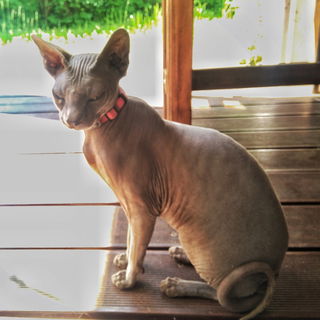 ...weil so ein Account ...