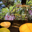 Das nennt sich Tropical...
