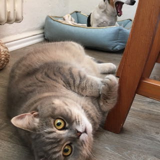 Shirin & Blacky :)))