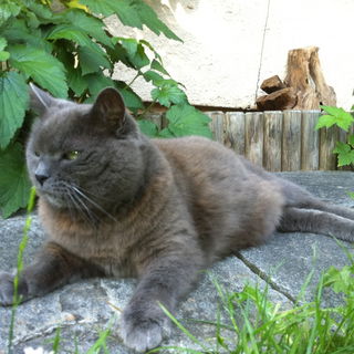 Geboren im Frühling 19...