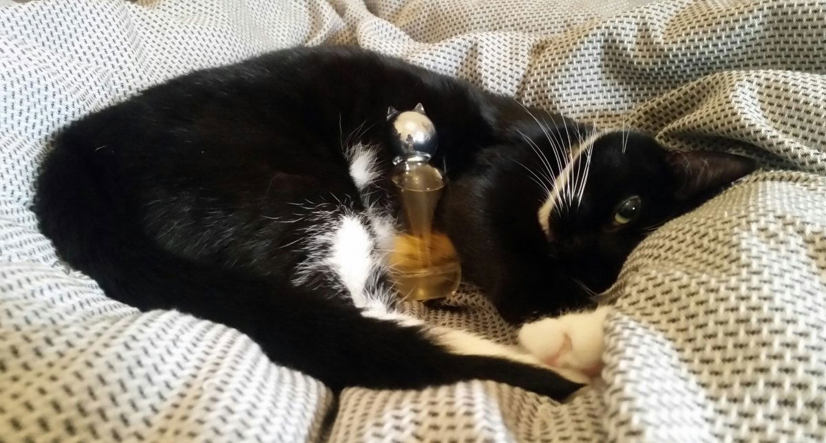 Miss Lily & CdG's Grace by Grace Coddington