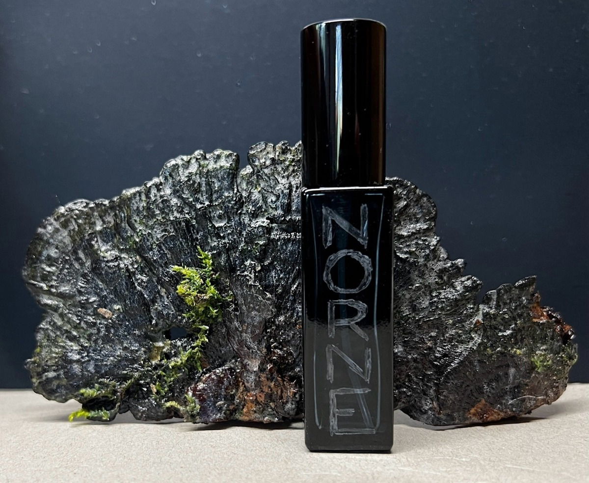 Schwarzer Baumpilz und Moos - Mein Mini zu Norne/Slumberhouse