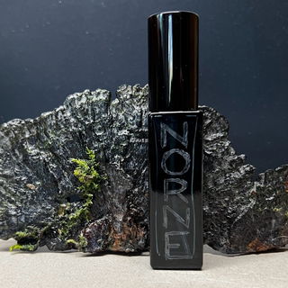 Schwarzer Baumpilz und ...