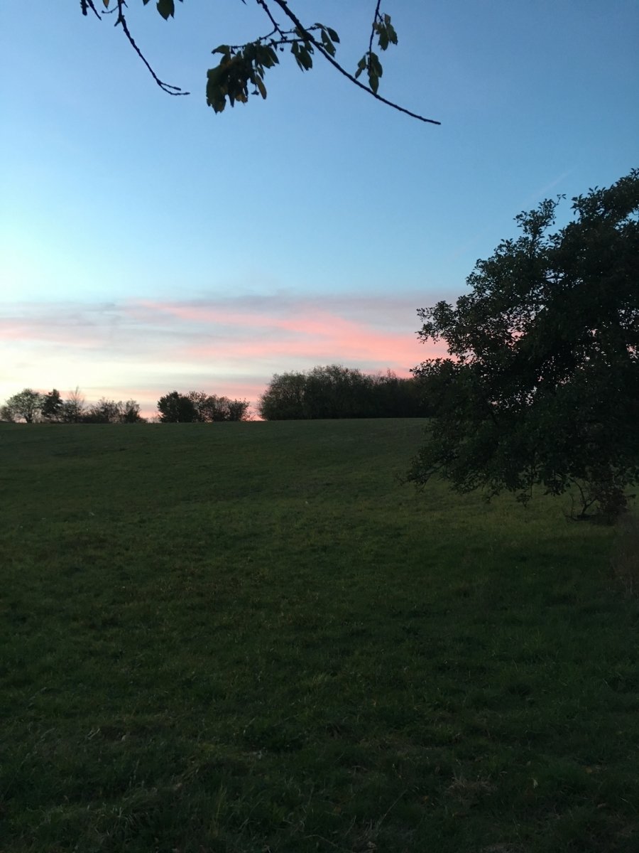 Die Engel backen Plätzchen