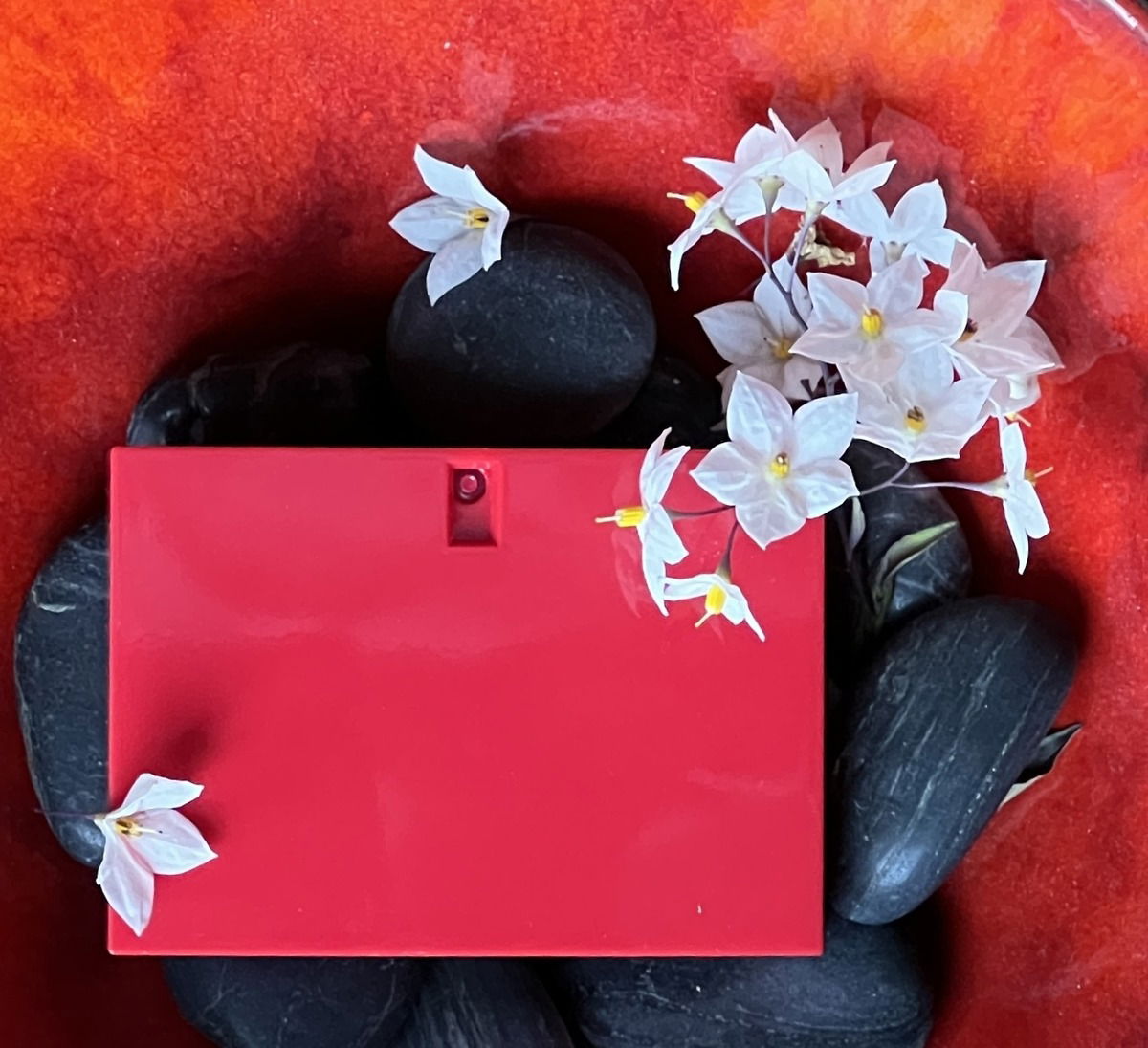 Rush / Gucci / 04.12.2023