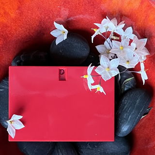 Rush / Gucci / 04.12.20...