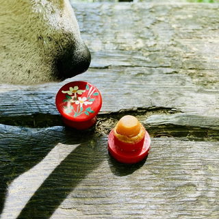 Jasmin für den Shiba I...