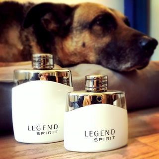 Protecting the goods