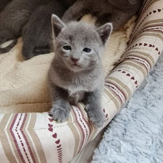 Na dann gibts von mir e...