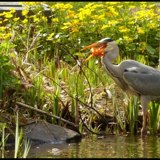 Der 3. innerhalb 20 Min...