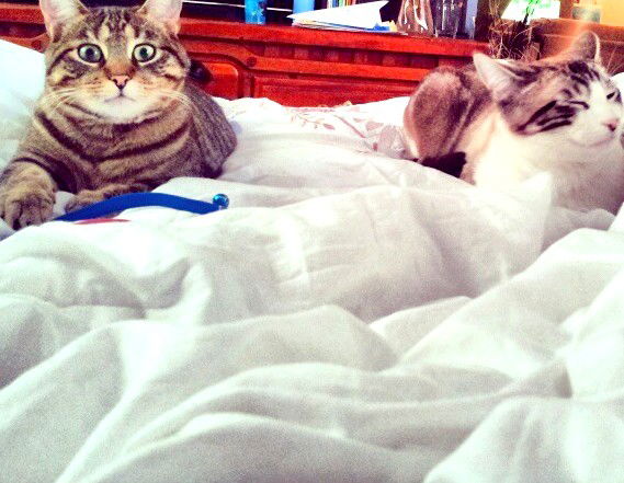 Wake up, Mom! We want to play!