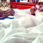 Wake up, Mom! We want t...