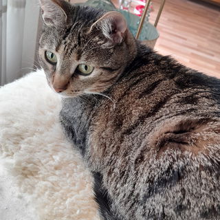 Meine Elsie....die Frec...