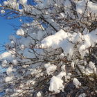 Soooo schön. ❄❄❄