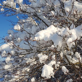 Soooo schön. ❄❄❄