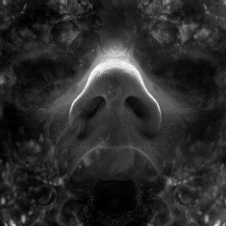 Sich einen Stoff reinzi...