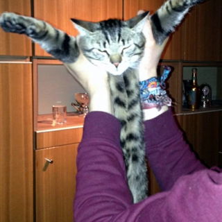 Gestatten, mein Name is...