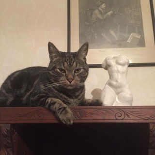 Oli gerade ausgeschlafe...