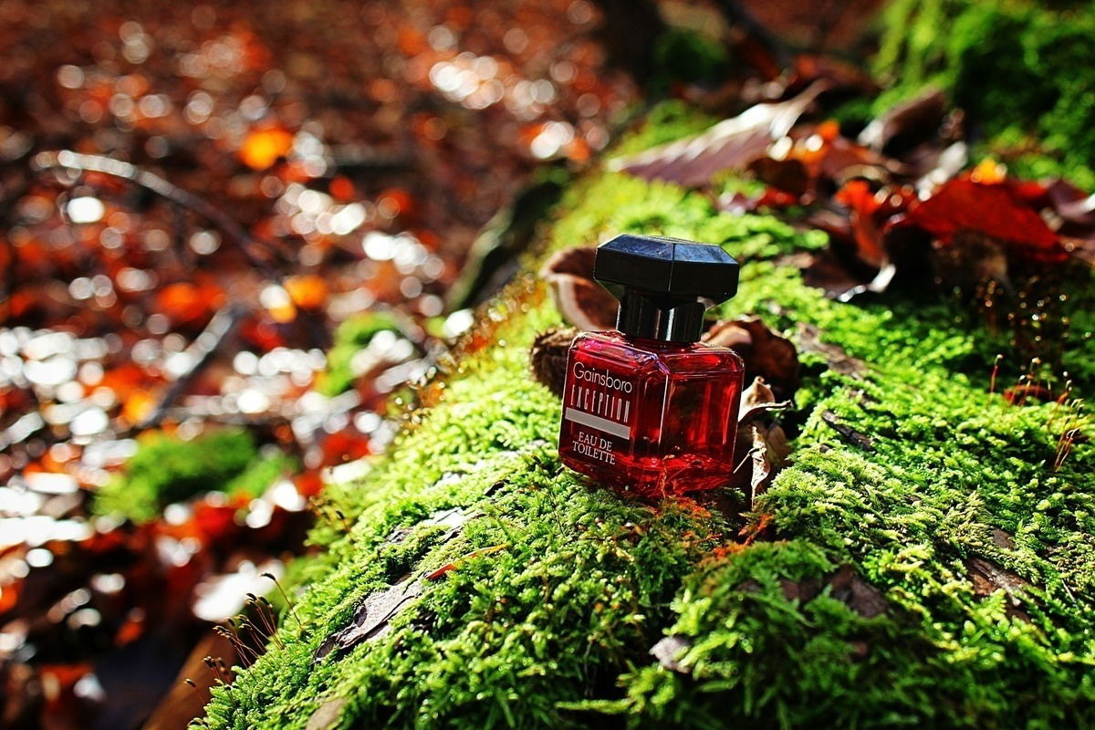 Abgelehnt am 7.11.23