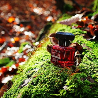 Abgelehnt am 7.11.23