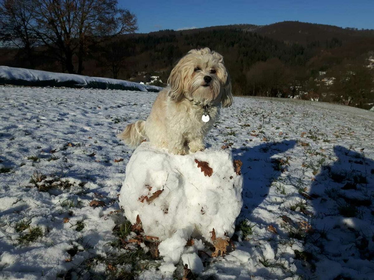 hab ich gaaaaanz alleine gerollt....