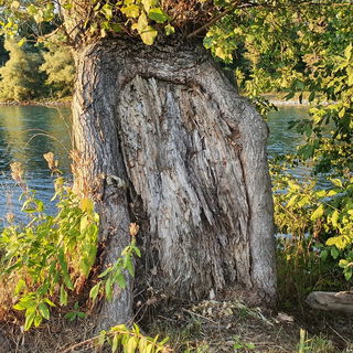 Wie die Tür zur Seele ...