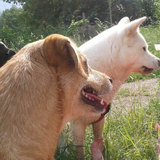 Akemi (rechts) Emma (vo...