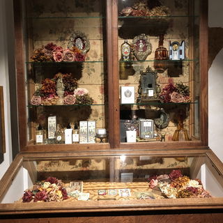 ARQUINESIA, ein wunders...