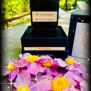 Al Contrario Tiziana Te...