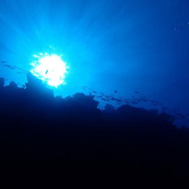 Underwater Sunset