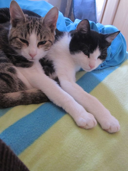 Man beachte die Synchronität...