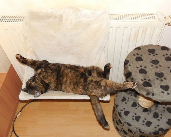 An der Heizung den Poppes wärmen