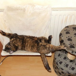 An der Heizung den Popp...